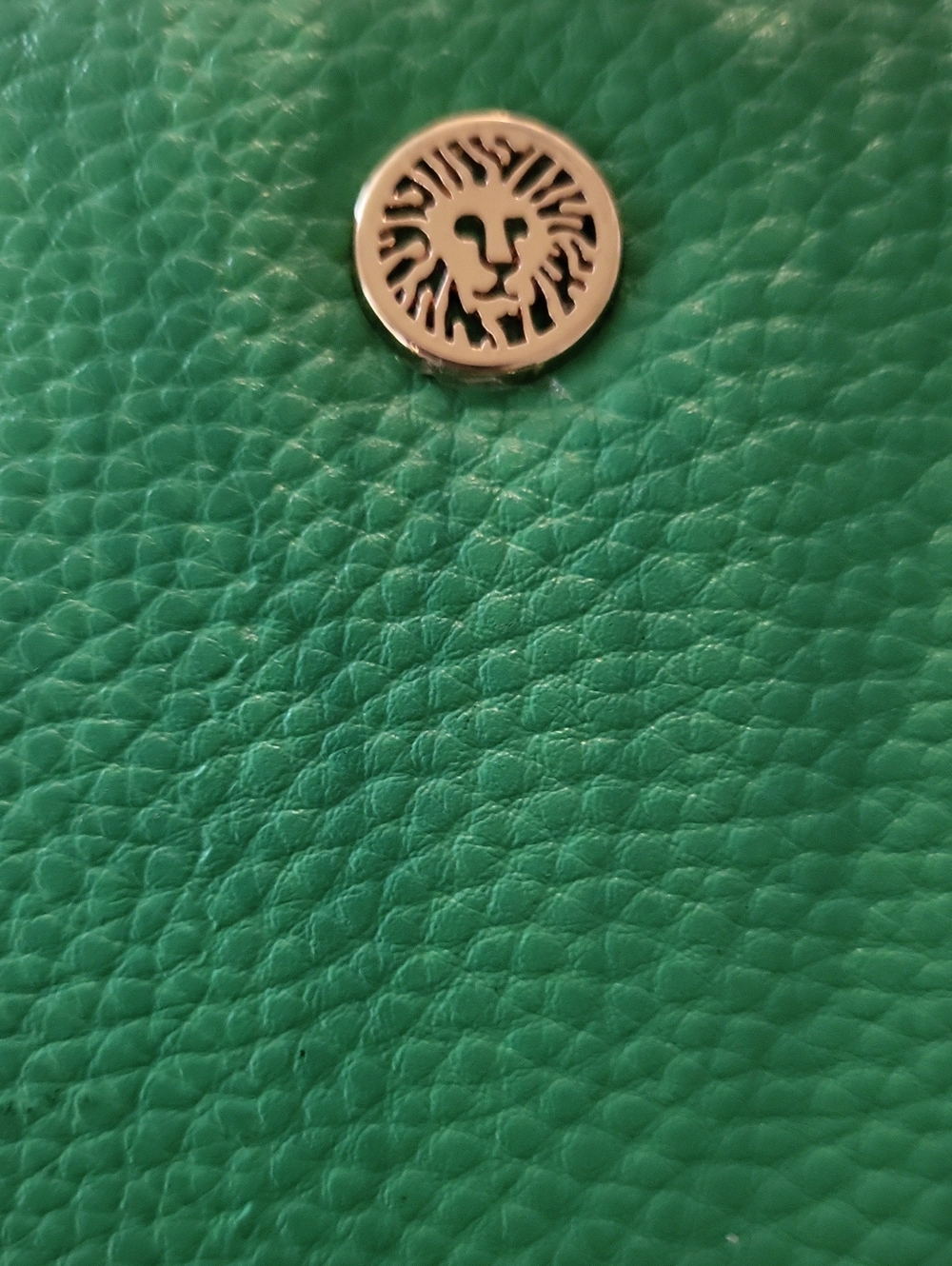 Anne Klein Kelly Green Wristlet Wallet with Gold Accent - 💚 - Picture 4 of 6
